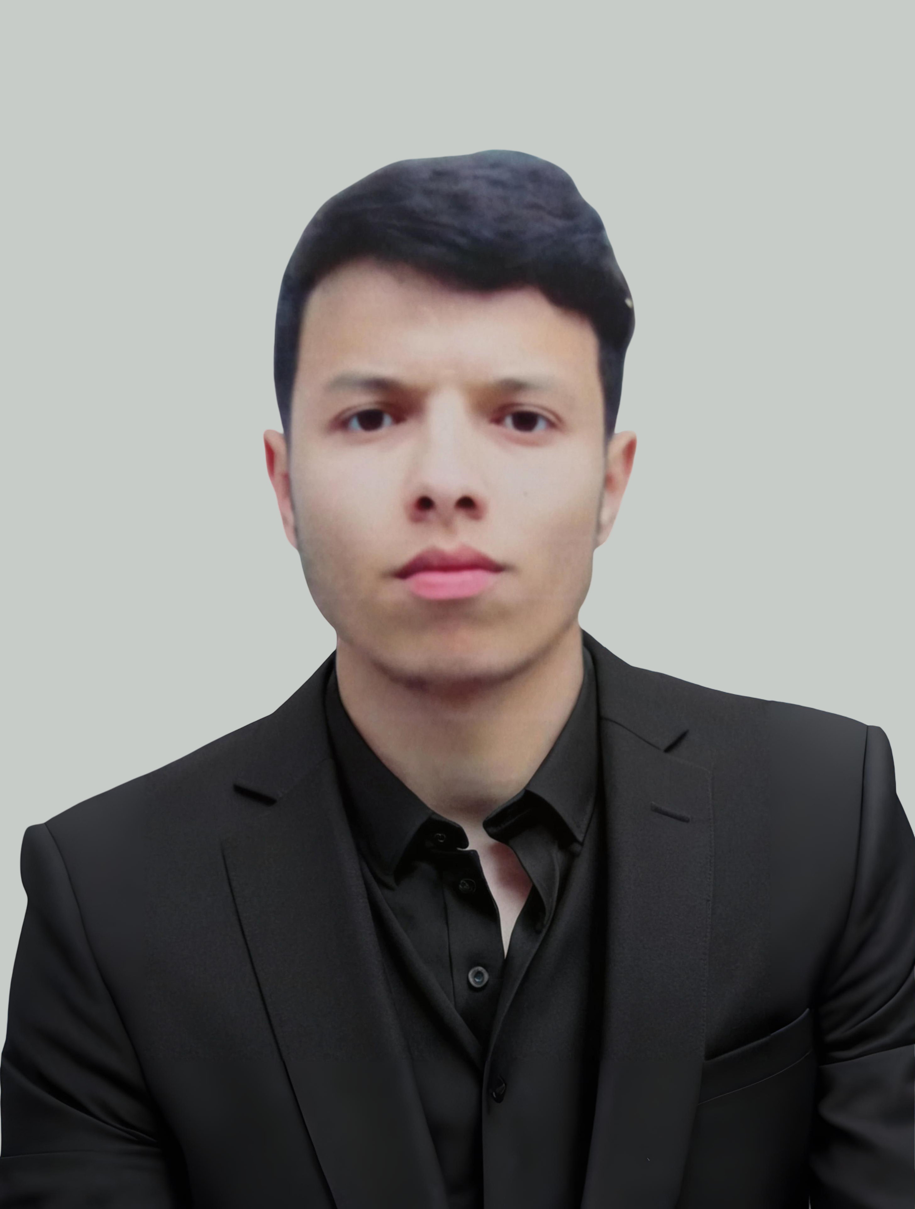 Mohamed Ladjal - AI PhD Student & Software Engineer